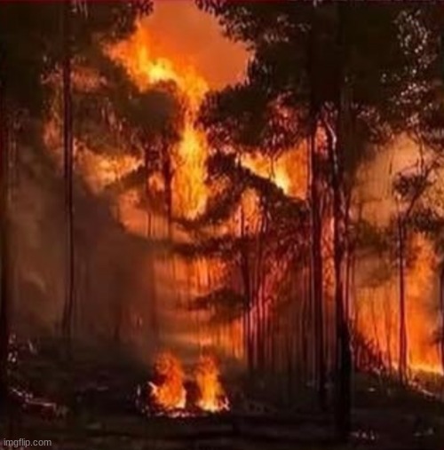 fire outside of my house | made w/ Imgflip meme maker