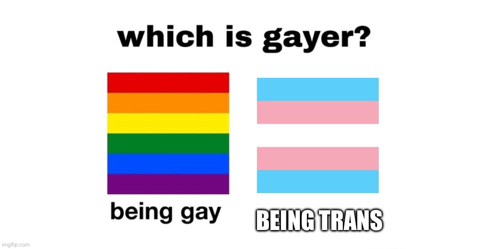 I’m not sure | BEING TRANS | image tagged in which is gayer,gay | made w/ Imgflip meme maker