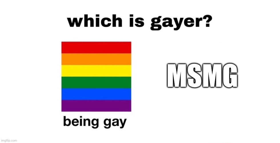 Which Is Gayer? | MSMG | image tagged in which is gayer | made w/ Imgflip meme maker