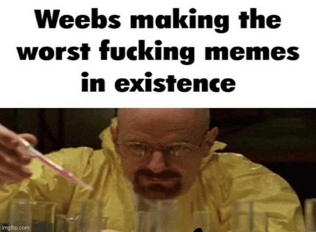 image tagged in weebs making the worst fucking memes in existance | made w/ Imgflip meme maker