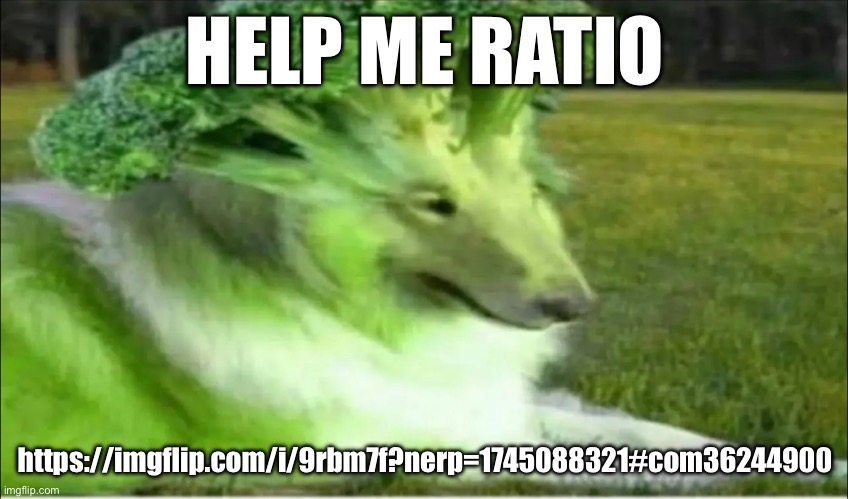 Broco dogo | HELP ME RATIO; https://imgflip.com/i/9rbm7f?nerp=1745088321#com36244900 | image tagged in broccoli dog | made w/ Imgflip meme maker
