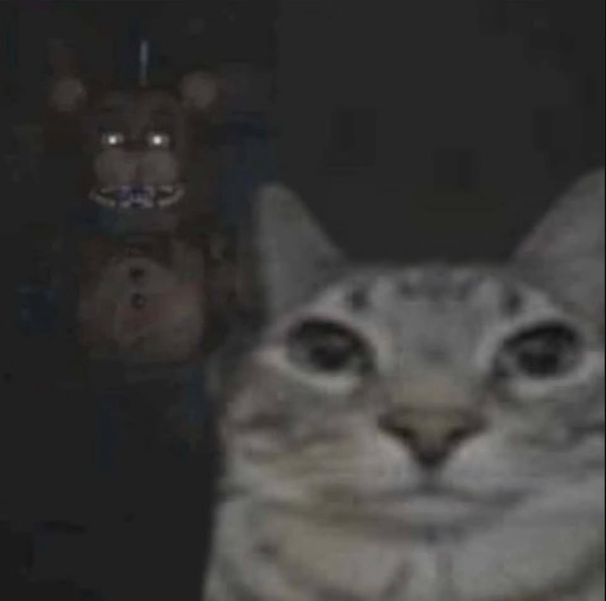 Cat is cooked by Freddy Blank Meme Template