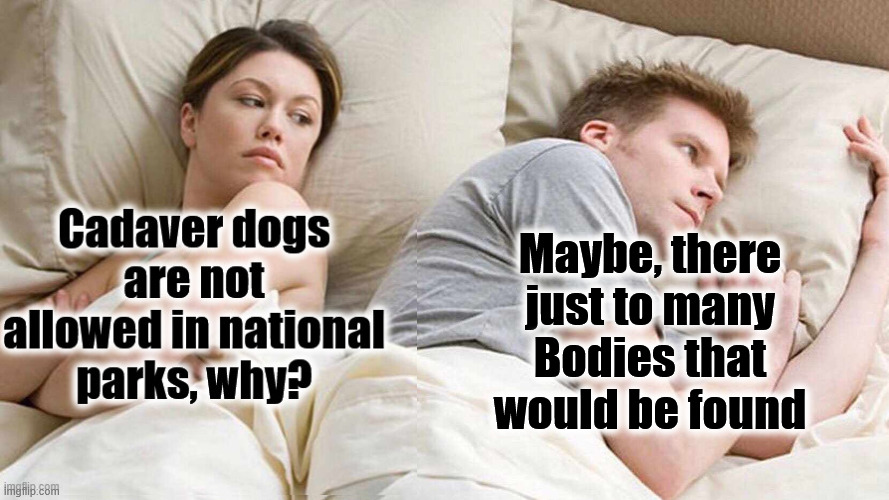 mystery | Maybe, there just to many Bodies that would be found | image tagged in memes,i bet he's thinking about other women,mystery | made w/ Imgflip meme maker