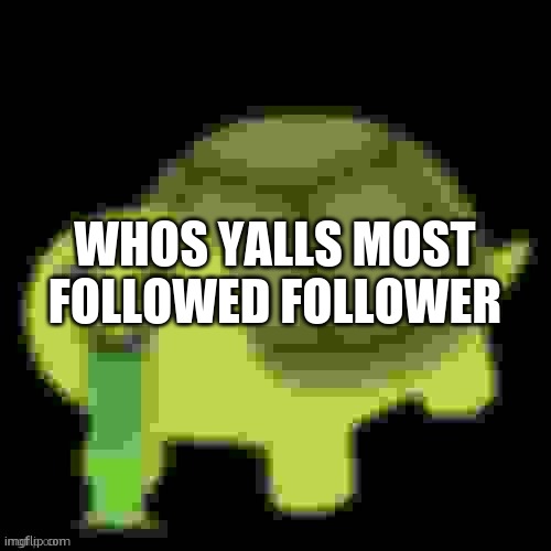 Low Quality Barfing Turtle | WHOS YALLS MOST FOLLOWED FOLLOWER | image tagged in low quality barfing turtle | made w/ Imgflip meme maker
