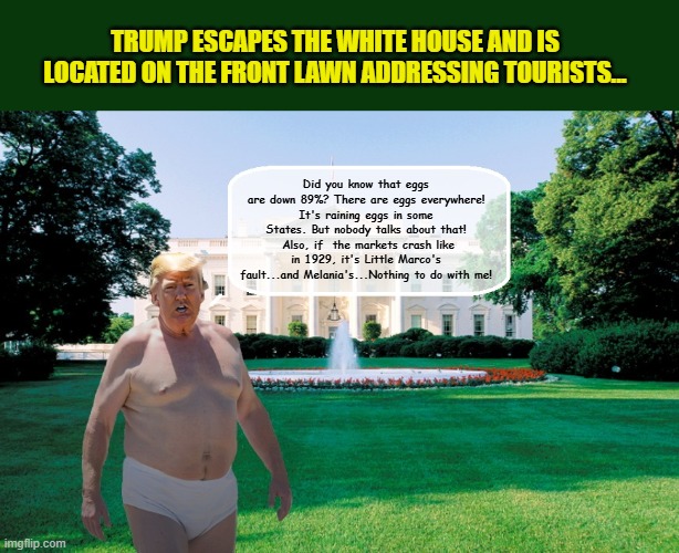 Donald on Saturday Afternoon...Brainless and Pantless... | TRUMP ESCAPES THE WHITE HOUSE AND IS LOCATED ON THE FRONT LAWN ADDRESSING TOURISTS... Did you know that eggs are down 89%? There are eggs everywhere! It's raining eggs in some States. But nobody talks about that!  Also, if  the markets crash like in 1929, it's Little Marco's fault...and Melania's...Nothing to do with me! | image tagged in impeach trump,donald trump memes,trump is a moron,donald trump is an idiot,government corruption | made w/ Imgflip meme maker