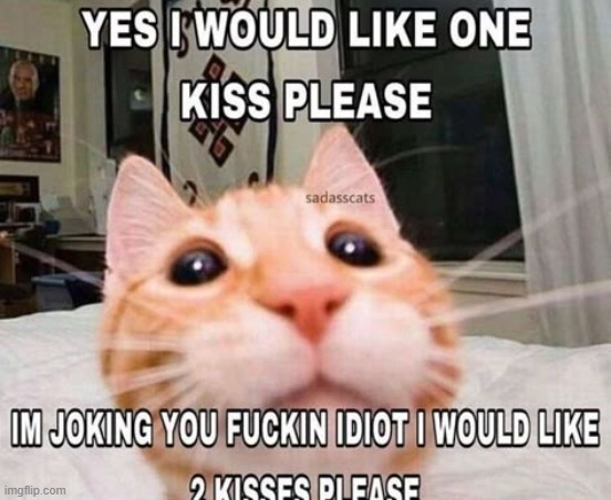 pinterest got the most nonsense memes | made w/ Imgflip meme maker