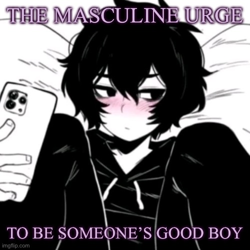 THE MASCULINE URGE; TO BE SOMEONE’S GOOD BOY | image tagged in why are you reading the tags | made w/ Imgflip meme maker