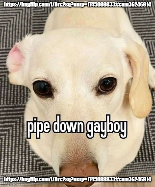 Pipe down gayboy | https://imgflip.com/i/9rc2sq?nerp=1745099933#com36246914; https://imgflip.com/i/9rc2sq?nerp=1745099933#com36246914 | image tagged in pipe down gayboy | made w/ Imgflip meme maker