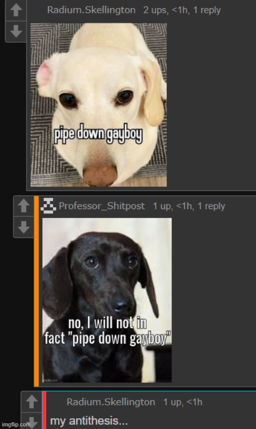 homophobic dog vs homosexual dog | made w/ Imgflip meme maker