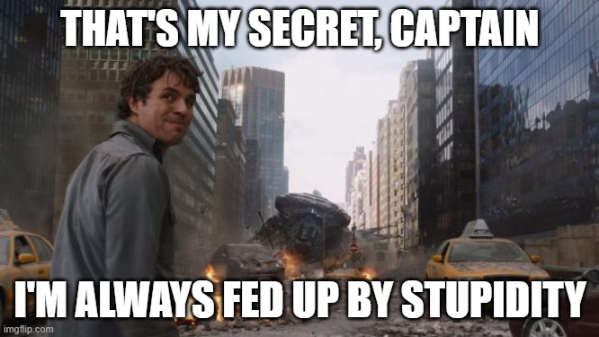 Hulk | THAT'S MY SECRET, CAPTAIN; I'M ALWAYS FED UP BY STUPIDITY | image tagged in hulk | made w/ Imgflip meme maker