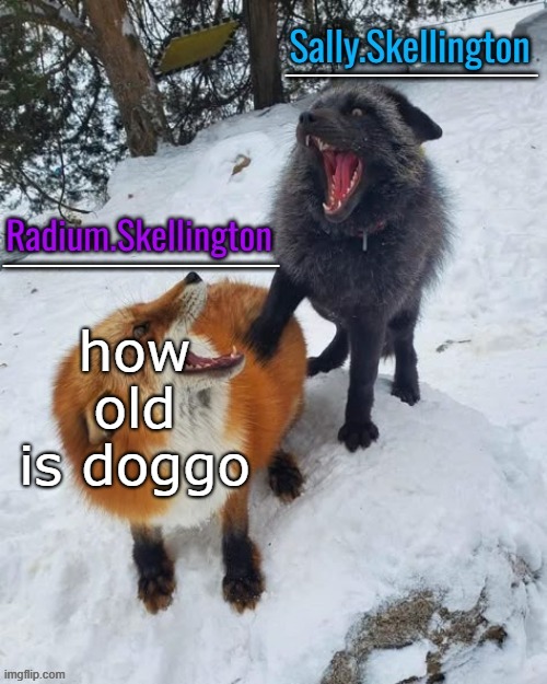 Radium and Sally temp | how old is doggo | image tagged in radium and sally temp | made w/ Imgflip meme maker
