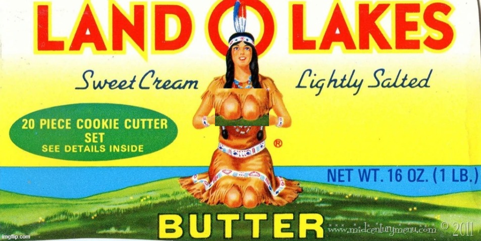 Land O Lakes, As Intended | image tagged in land o lakes,indian | made w/ Imgflip meme maker