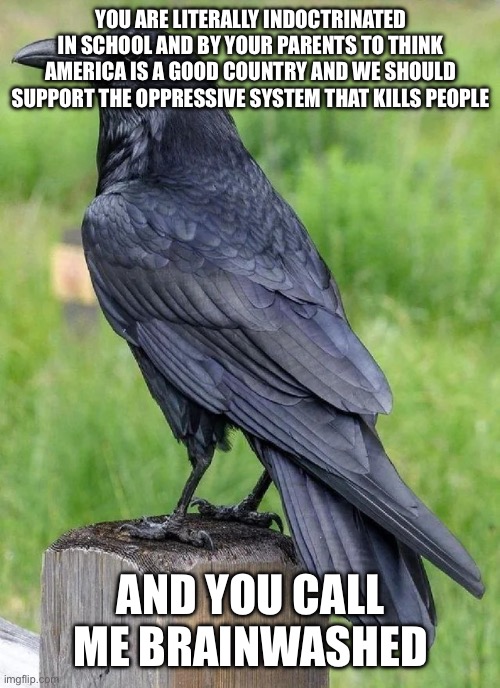 Who's the brainwashed one here | YOU ARE LITERALLY INDOCTRINATED IN SCHOOL AND BY YOUR PARENTS TO THINK AMERICA IS A GOOD COUNTRY AND WE SHOULD SUPPORT THE OPPRESSIVE SYSTEM THAT KILLS PEOPLE; AND YOU CALL ME BRAINWASHED | image tagged in raven | made w/ Imgflip meme maker