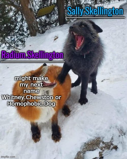 Radium and Sally temp | might make my next name Whitney.Chewston or Homophobic.Dog | image tagged in radium and sally temp | made w/ Imgflip meme maker