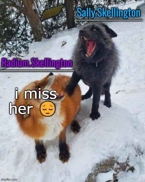 Radium and Sally temp | i miss her 😔 | image tagged in radium and sally temp | made w/ Imgflip meme maker