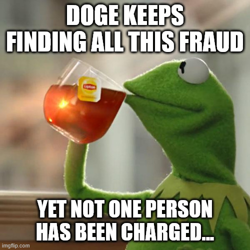 It's a weird detail | DOGE KEEPS FINDING ALL THIS FRAUD; YET NOT ONE PERSON HAS BEEN CHARGED... | image tagged in memes,but that's none of my business,kermit the frog,doge,elon musk | made w/ Imgflip meme maker