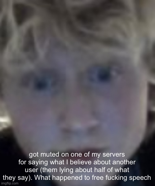 zetastar (real) | got muted on one of my servers for saying what I believe about another user (them lying about half of what they say). What happened to free fucking speech | image tagged in zetastar real | made w/ Imgflip meme maker