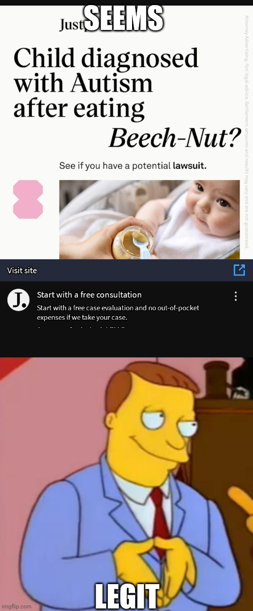 YouTube why? | SEEMS; LEGIT | image tagged in lionel hutz lawyer simpsons | made w/ Imgflip meme maker
