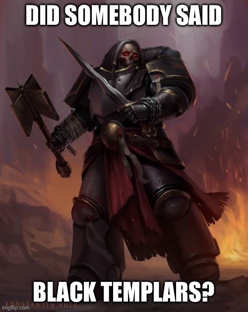 Black templar | DID SOMEBODY SAID BLACK TEMPLARS? | image tagged in black templar | made w/ Imgflip meme maker