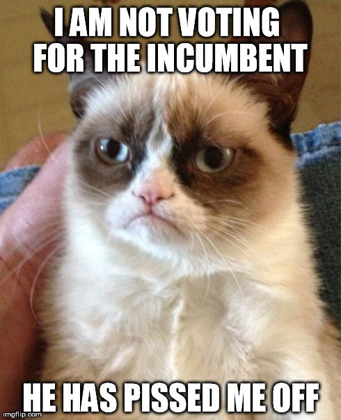 Grumpy Cat | I AM NOT VOTING FOR THE INCUMBENT HE HAS PISSED ME OFF | image tagged in memes,grumpy cat | made w/ Imgflip meme maker