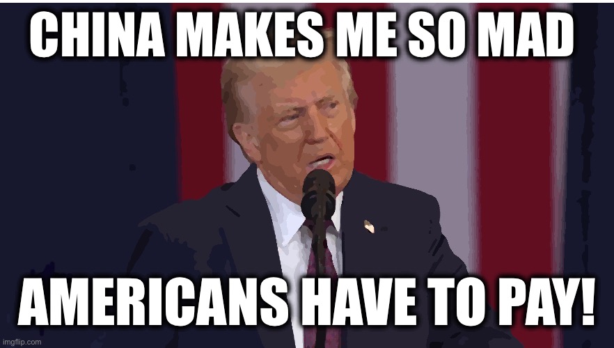 CHINA MAKES ME SO MAD; AMERICANS HAVE TO PAY! | image tagged in memes,trump,china,tariffs,usa,losers | made w/ Imgflip meme maker