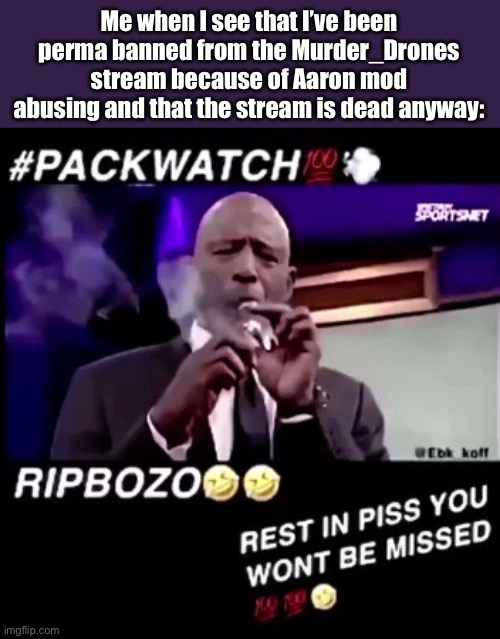 Let’s plan a raid on the stream, let’s throw literally ANYTHING at it. | Me when I see that I’ve been perma banned from the Murder_Drones stream because of Aaron mod abusing and that the stream is dead anyway: | image tagged in rest in piss you won't be missed | made w/ Imgflip meme maker
