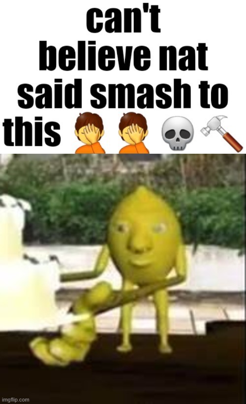 Can’t believe nat said smash to this | image tagged in can t believe nat said smash to this | made w/ Imgflip meme maker