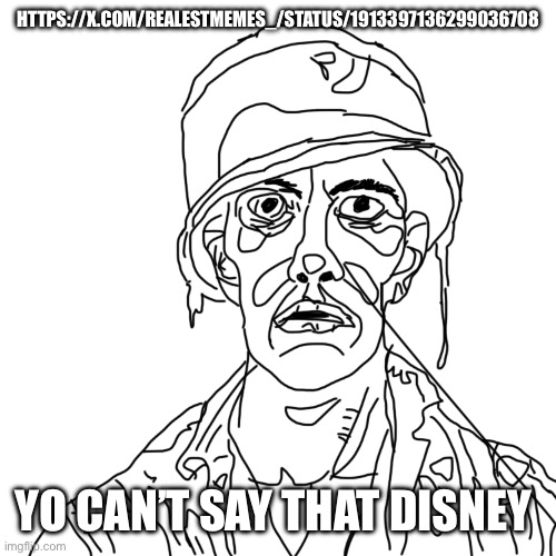Thousand wojak stare | HTTPS://X.COM/REALESTMEMES_/STATUS/1913397136299036708; YO CAN’T SAY THAT DISNEY | image tagged in thousand wojak stare | made w/ Imgflip meme maker