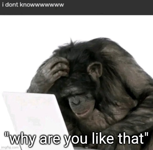 "why are you like that" | made w/ Imgflip meme maker