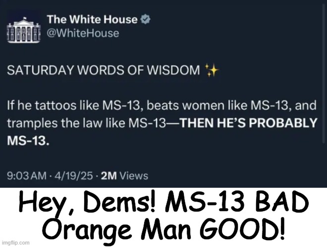 Dems, get focused! | Hey, Dems! MS-13 BAD
Orange Man GOOD! | image tagged in ms-13,bad guys,orange man,good guy greg,good vs evil,think with the big head for once | made w/ Imgflip meme maker