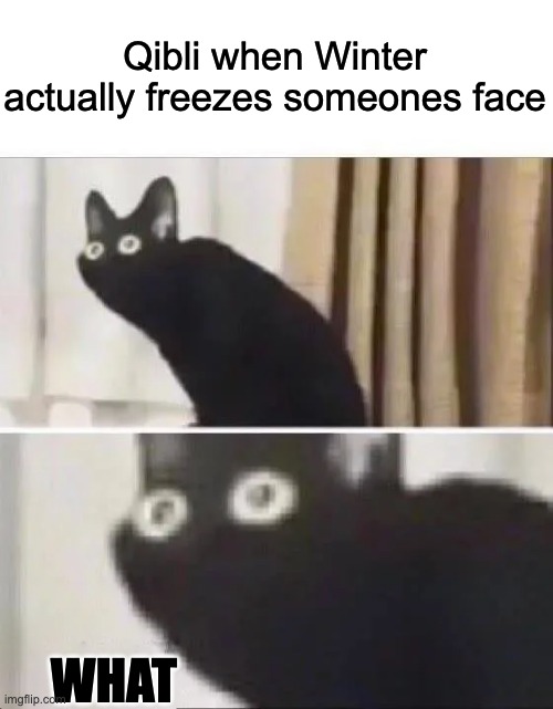 Oh No Black Cat | Qibli when Winter actually freezes someones face; WHAT | image tagged in oh no black cat | made w/ Imgflip meme maker