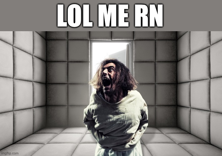 LOL ME RN | image tagged in relatable,dank memes,wisdom,lol so funny | made w/ Imgflip meme maker