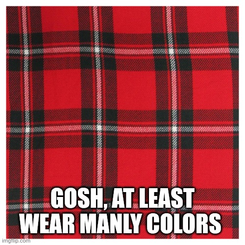 tartan | GOSH, AT LEAST WEAR MANLY COLORS | image tagged in tartan | made w/ Imgflip meme maker
