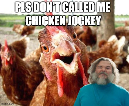 Chicken | CHICKEN JOCKEY; PLS DON'T CALLED ME | image tagged in chicken | made w/ Imgflip meme maker