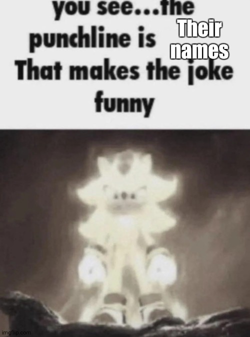 You see the punchline is that makes the joke funny shadow | Their names | image tagged in you see the punchline is that makes the joke funny shadow | made w/ Imgflip meme maker