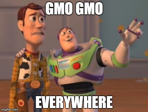 X, X Everywhere Meme | GMO GMO EVERYWHERE | image tagged in memes,x x everywhere | made w/ Imgflip meme maker
