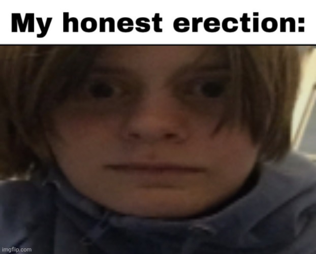 my honest erection | image tagged in my honest erection | made w/ Imgflip meme maker