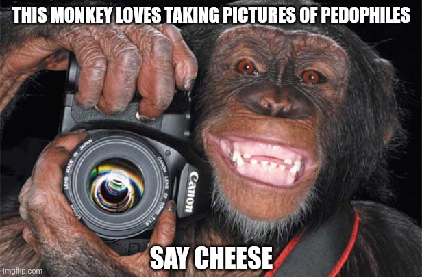 Camera Monkey | THIS MONKEY LOVES TAKING PICTURES OF PEDOPHILES; SAY CHEESE | image tagged in camera monkey | made w/ Imgflip meme maker