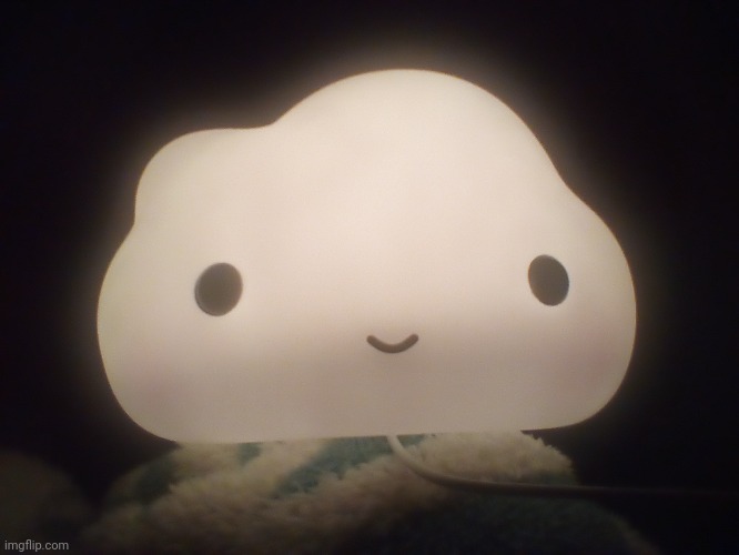 Look at this silly little shit | made w/ Imgflip meme maker