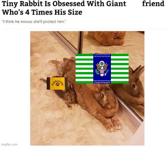 ever since it's liberation, they'd still remain allies although some changes ever since | image tagged in anthrocon,pro-fandom,the saga-keeping,furry and normie memes,flags,why are you reading the tags | made w/ Imgflip meme maker
