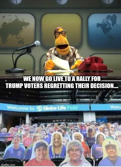 WE NOW GO LIVE TO A RALLY FOR TRUMP VOTERS REGRETTING THEIR DECISION.... | image tagged in muppet reporter,baseball cardboard cutout people | made w/ Imgflip meme maker