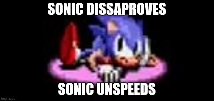 Sonic dissaproves | SONIC DISSAPROVES SONIC UNSPEEDS | image tagged in sonic dissaproves | made w/ Imgflip meme maker
