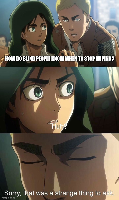 Erwin meme | HOW DO BLIND PEOPLE KNOW WHEN TO STOP WIPING? | image tagged in erwin meme | made w/ Imgflip meme maker