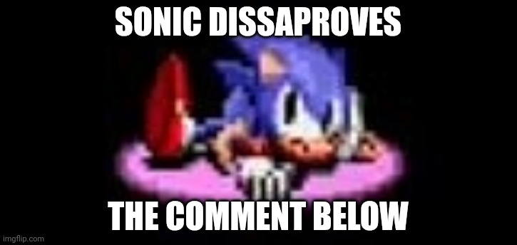 SONIC DISSAPROVES THE COMMENT BELOW | image tagged in sonic dissaproves | made w/ Imgflip meme maker