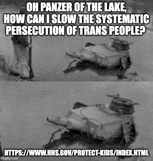 Panzer of the lake | OH PANZER OF THE LAKE, HOW CAN I SLOW THE SYSTEMATIC PERSECUTION OF TRANS PEOPLE? HTTPS://WWW.HHS.GOV/PROTECT-KIDS/INDEX.HTML | image tagged in panzer of the lake | made w/ Imgflip meme maker
