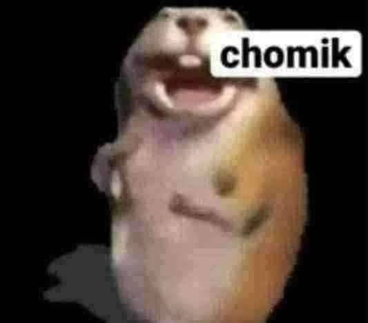 goofy chomik Blank Meme Template