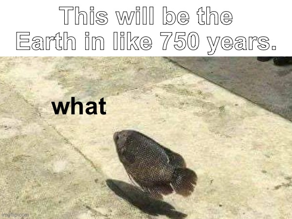 day 2/25 of making crap-post memes | This will be the Earth in like 750 years. what | image tagged in shitpost | made w/ Imgflip meme maker