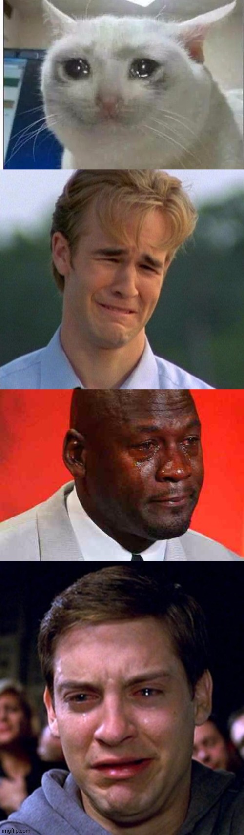 image tagged in crying cat,memes,1990s first world problems,crying michael jordan,crying peter parker | made w/ Imgflip meme maker