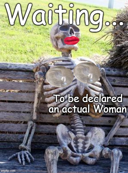 First Blush ? Thought somebody from Blue Origin Crew Died | Waiting... To be declared an actual Woman | image tagged in waiting skeleton actual woman meme | made w/ Imgflip meme maker