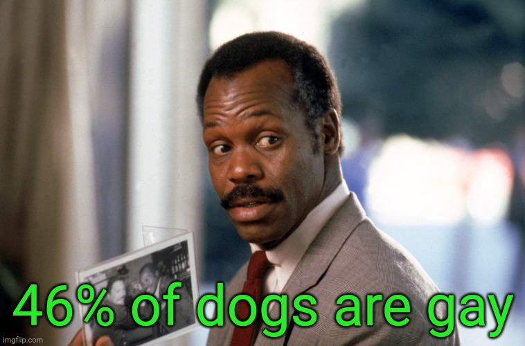 I'm getting too old for this shit | 46% of dogs are gay | image tagged in i'm getting too old for this shit | made w/ Imgflip meme maker